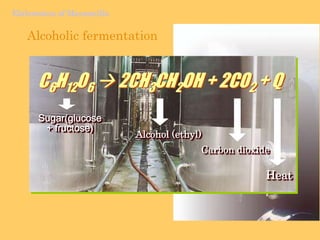 White color (alba).Othertypes of soil:-  arenas(coastalareas)-  barros (valleybeds)