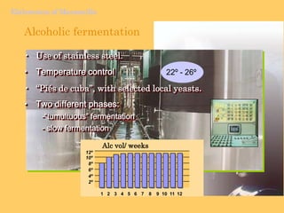 Viticulture of ManzanillaAuthorized grape varietiespedro ximénezmoscatel palomino