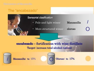 Viticulture of ManzanillaARGÜESO WineyardsThere is a number of vineyards associated to the Company, owned by the Group of Companies that own the Bodega ArgüesoLocated at thebest “Pagos” (Tizón y Añina)Provide most of the grapes needed for replacement at our ageing systems for ManzanillaAnother part is purchased as to Cooperatives.