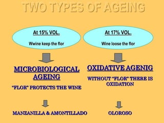 5. ELABORATION OF MANZANILLA