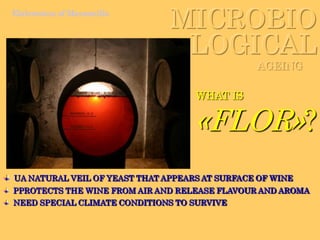 TraditionNatureTechnologyBase winela elaboración de la ManzanillaCombination of…Elaborationprocess:Pressing the grapes