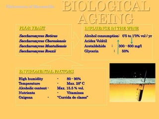 Sugar(glucose+ fructose)Alcohol (ethyl)CarbondioxideHeatElaboration of ManzanillaAlcoholicfermentationC6H1206 2CH3CH2OH + 2CO2 + Q
