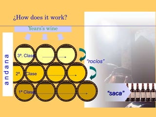 “Piés de cuba”, withselected local yeasts.Elaboration of ManzanillaBasa wineLate December-“deslío”.