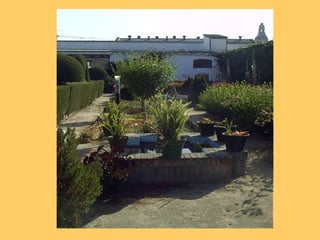 Vinos Generosos de Licor 	- Cominefrom “cabeceos”OLOROSOMANZANILLAAMONTILLADOPALO CORTADOBiologicalageing…………………...…………OxidativeageingTypes of SherryDry Sherry