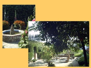 Types of SherryNatural sweetwinesSpecificvarieties: pedroximénez& moscatel.