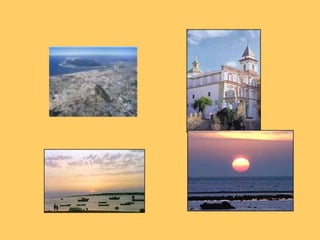 Overmaturingthe grape (soleo).