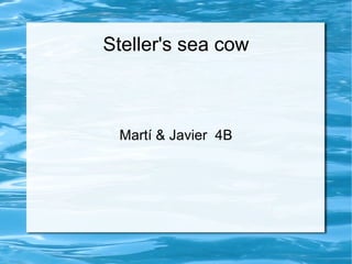 Steller's sea cow Martí & Javier  4B 