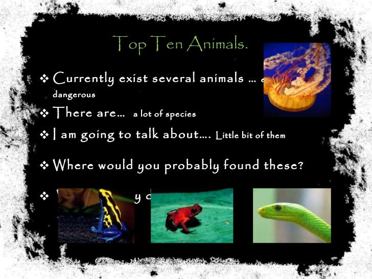 Top 10 Poisonous Animals