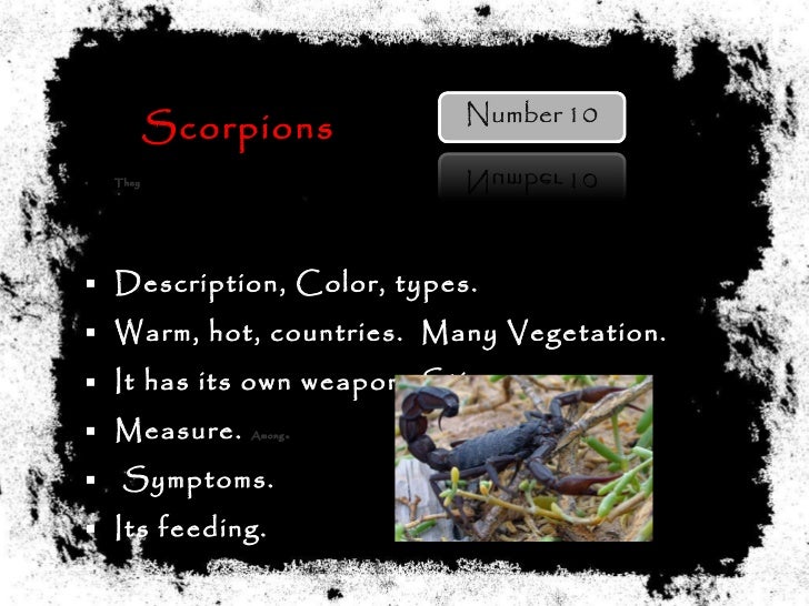 Top 10 Poisonous Animals