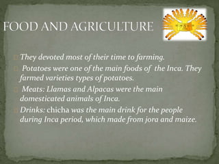 They devoted most of their time to farming.
Potatoes were one of the main foods of the Inca. They
farmed varieties types of potatoes.
Meats: Llamas and Alpacas were the main
domesticated animals of Inca.
Drinks: chicha was the main drink for the people
during Inca period, which made from jora and maize.
 