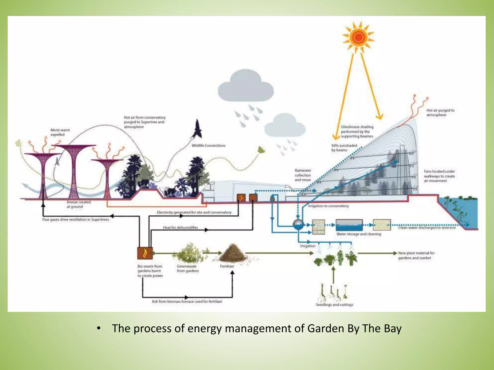• The process of energy management of Garden By The Bay
 
