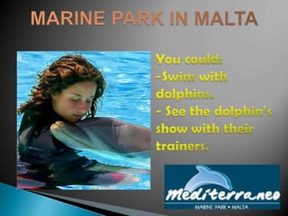  See the dolphin’s show with their trainers.You could:See the sea lions presentation.To enjoy the tropical bird presentation.