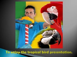 To visit the reptilarium.