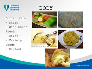 BODY
Durian skin
• Sharp
• Wash hands
Flesh
• Color
• Variety
Seeds
• Replant