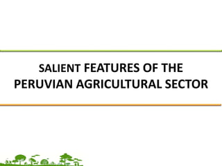 SALIENT FEATURES OF THE
PERUVIAN AGRICULTURAL SECTOR
 