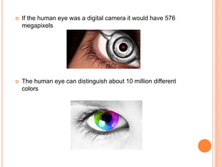 If the human eye was a digital camera it would have 576
megapixels
 The human eye can distinguish about 10 million different
colors
 