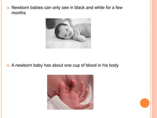 Newborn babies can only see in black and white for a few
months
 A newborn baby has about one cup of blood in his body
 