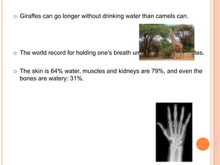  Giraffes can go longer without drinking water than camels can.
 The world record for holding one's breath under water is 22 minutes.
 The skin is 64% water, muscles and kidneys are 79%, and even the
bones are watery: 31%.
 