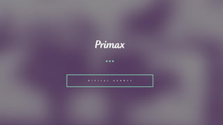 Primax Digital Agency (Russia)