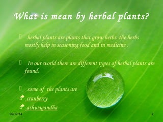 What is mean by herbal plants?
 herbal plants are plants that grow herbs. the herbs
mostly help in seasoning food and in medicine .
 In our world there are different types of herbal plants are
found.
 some of the plants are
 cranberry
 ashwagandha
02/17/14

2

 