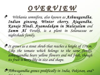 

Withania somnifera, also known as Ashwagandha,
Indian ginseng, Winter cherry, Ajagandha,
Kanaje Hindi, Ayamodakam in Ma...