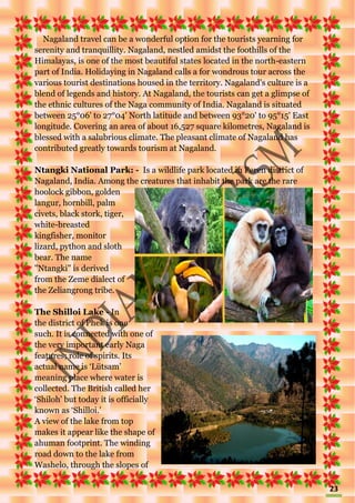 23
Nagaland travel can be a wonderful option for the tourists yearning for
serenity and tranquillity. Nagaland, nestled amidst the foothills of the
Himalayas, is one of the most beautiful states located in the north-eastern
part of India. Holidaying in Nagaland calls a for wondrous tour across the
various tourist destinations housed in the territory. Nagaland's culture is a
blend of legends and history. At Nagaland, the tourists can get a glimpse of
the ethnic cultures of the Naga community of India. Nagaland is situated
between 25°06' to 27°04' North latitude and between 93°20' to 95°15' East
longitude. Covering an area of about 16,527 square kilometres, Nagaland is
blessed with a salubrious climate. The pleasant climate of Nagaland has
contributed greatly towards tourism at Nagaland.
Ntangki National Park: - Is a wildlife park located in Peren district of
Nagaland, India. Among the creatures that inhabit the park are the rare
hoolock gibbon, golden
langur, hornbill, palm
civets, black stork, tiger,
white-breasted
kingfisher, monitor
lizard, python and sloth
bear. The name
"Ntangki" is derived
from the Zeme dialect of
the Zeliangrong tribe.
The Shilloi Lake - In
the district of Phek is one
such. It is connected with one of
the very important early Naga
features; role of spirits. Its
actual name is ‘Lütsam’
meaning place where water is
collected. The British called her
‘Shiloh’ but today it is officially
known as ‘Shilloi.’
A view of the lake from top
makes it appear like the shape of
ahuman footprint. The winding
road down to the lake from
Washelo, through the slopes of
 