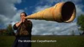 The Moldovian Carpathianhorn
 