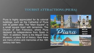 Piura is highly appreciated for its colonial
buildings, such as the Cathedral of Piura
with its golden altar. The “Main Square", is
a small square lined with tamarinds. The
Church of San Francisco, where Piura
declared its independence from Spain in
1821. In addition, there is the Miguel Grau
Museum, a place full of history. Here there
are many photos and memories of the 19th
century war hero.
 