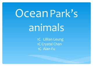 Ocean   Park’s   animals 1C  Lillian Leung 1C Crystal Chan 1C  Alan Fu 