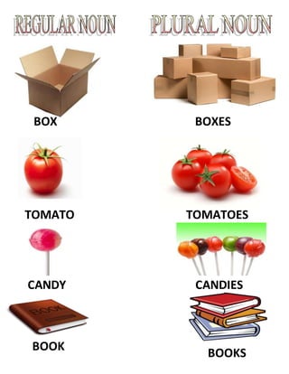 BOX BOXES
TOMATO TOMATOES
CANDY CANDIES
BOOK
BOOKS
 
