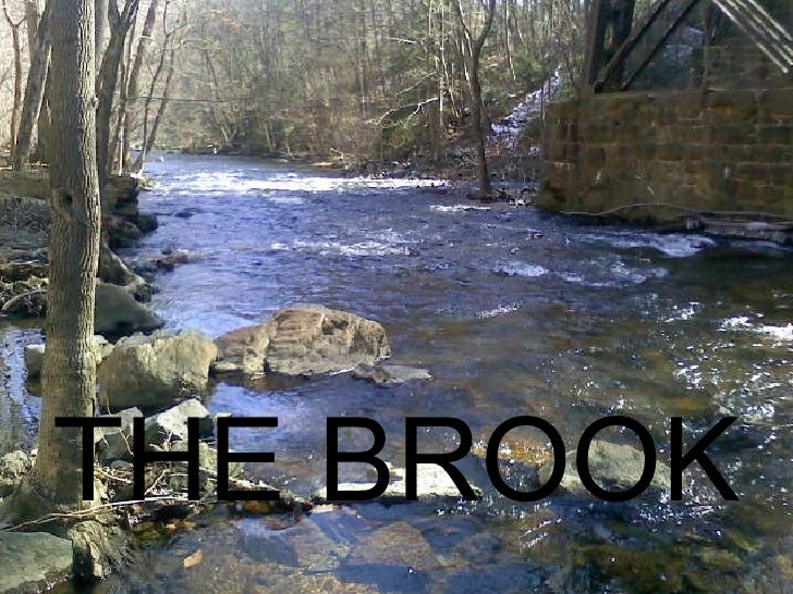 the brook