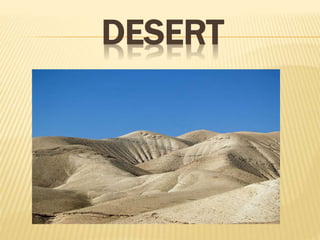 DESERT
 