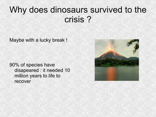 herbivore teeth Prorotodactylus 