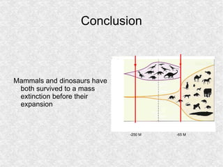 A new discovery => a re-interpretation of dinosaurs's history Dinosaurs emerged 18 million years before than we thought 