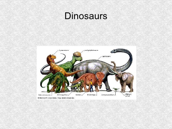 types of dinosaurs in english
