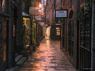 Steve Wilson - Flickr