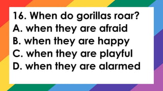 16. When do gorillas roar?
A. when they are afraid
B. when they are happy
C. when they are playful
D. when they are alarmed
 