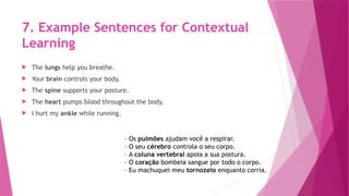 Sentences In Present Perfect Continuous English review Present Perfect tense.pptx