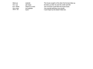 blow up explode The house caught on fire when the furnace blew up. 
blow up get angry He blew up when he saw the credit card bill. 
blow down destroy by wind The hurricane could blow the house down. 
blow over be forgotten The scandal will blow over shortly. 
Blow out burst I sure hope my tire doesn’t blow out. 
 