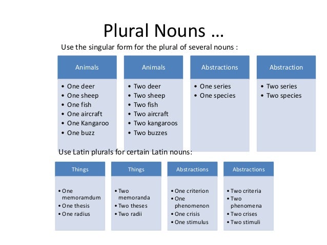 Half plural form. Curriculum plural. Plural nouns. Plural form in english. Latin plural forms in english.