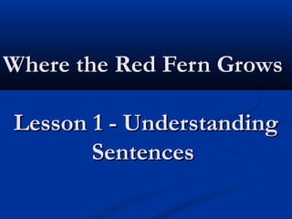 Where the Red Fern GrowsWhere the Red Fern Grows
Lesson 1 - UnderstandingLesson 1 - Understanding
SentencesSentences
 