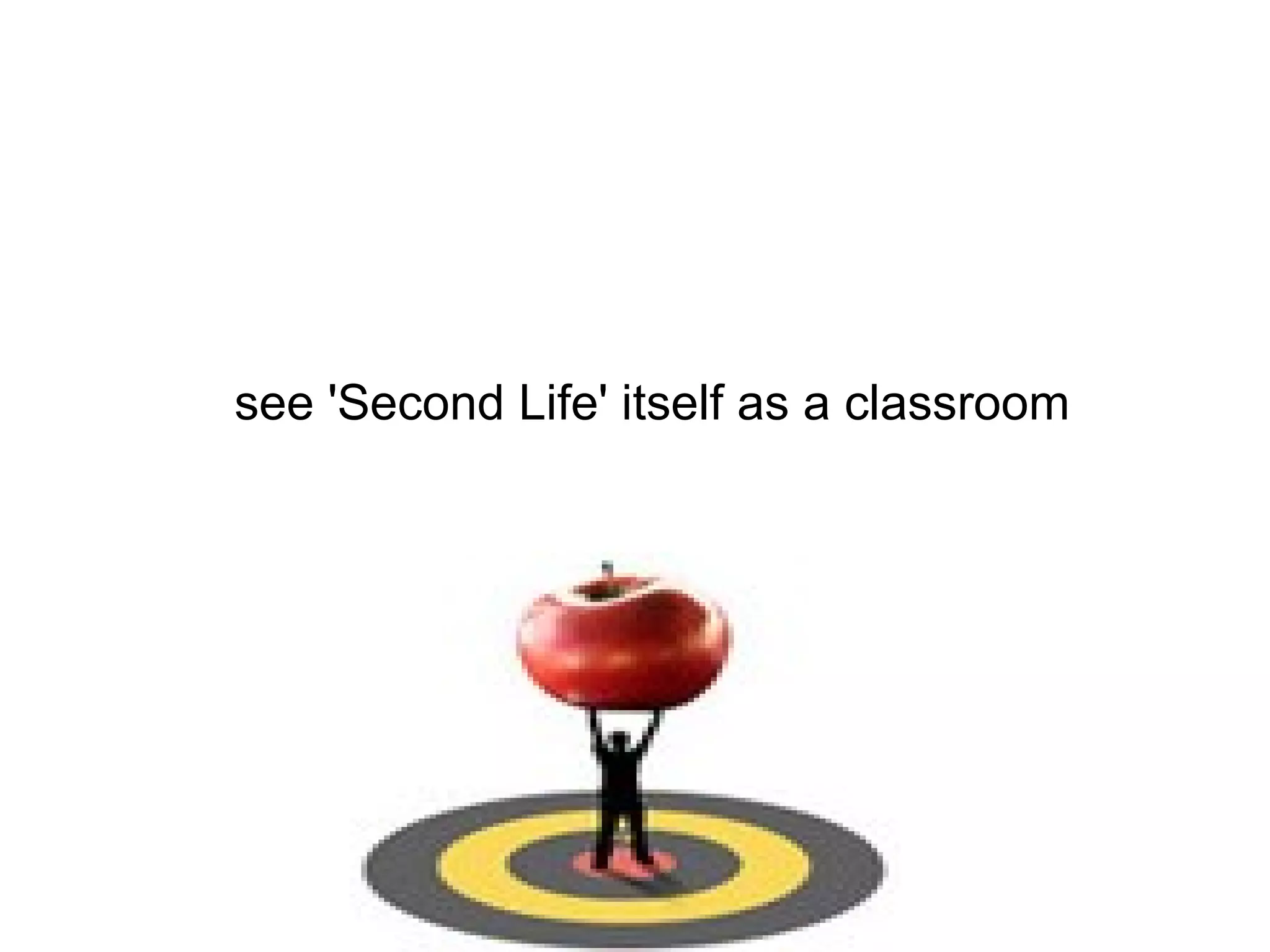 see 'Second Life' itself as a classroom 