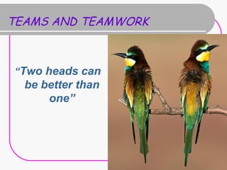 TEAMS AND TEAMWORK
“Two heads can
be better than
one”
 