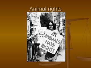 Animal rights
 
