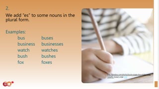 2.
We add “es” to some nouns in the
plural form.
Examples:
bus buses
business businesses
watch watches
bush bushes
fox foxes
 