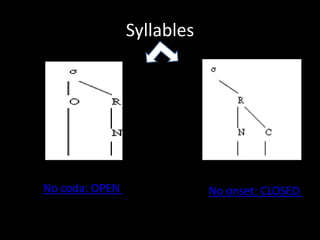 Syllables
No onset: CLOSEDNo coda: OPEN
 