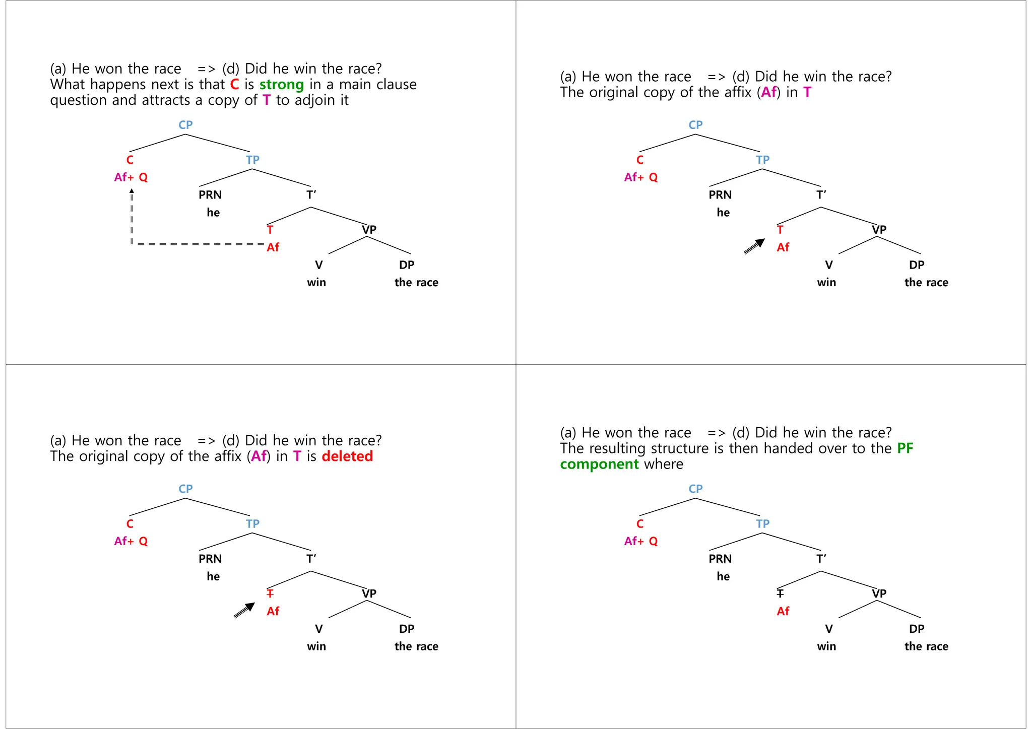 (a) He won the race => (d) Did he win the race?
What happens next is that C is strong in a main clause
question and attracts a copy of T to adjoin it
CP
C TP
Af+ Q
PRN T’
he
T VP
Af
V DP
win the race
(a) He won the race => (d) Did he win the race?
The original copy of the affix (Af) in T
CP
C TP
Af+ Q
PRN T’
he
T VP
Af
V DP
win the race
(a) He won the race => (d) Did he win the race?
The original copy of the affix (Af) in T is deleted
CP
C TP
Af+ Q
PRN T’
he
T VP
Af
V DP
win the race
(a) He won the race => (d) Did he win the race?
The resulting structure is then handed over to the PF
component where
CP
C TP
Af+ Q
PRN T’
he
T VP
Af
V DP
win the race
 