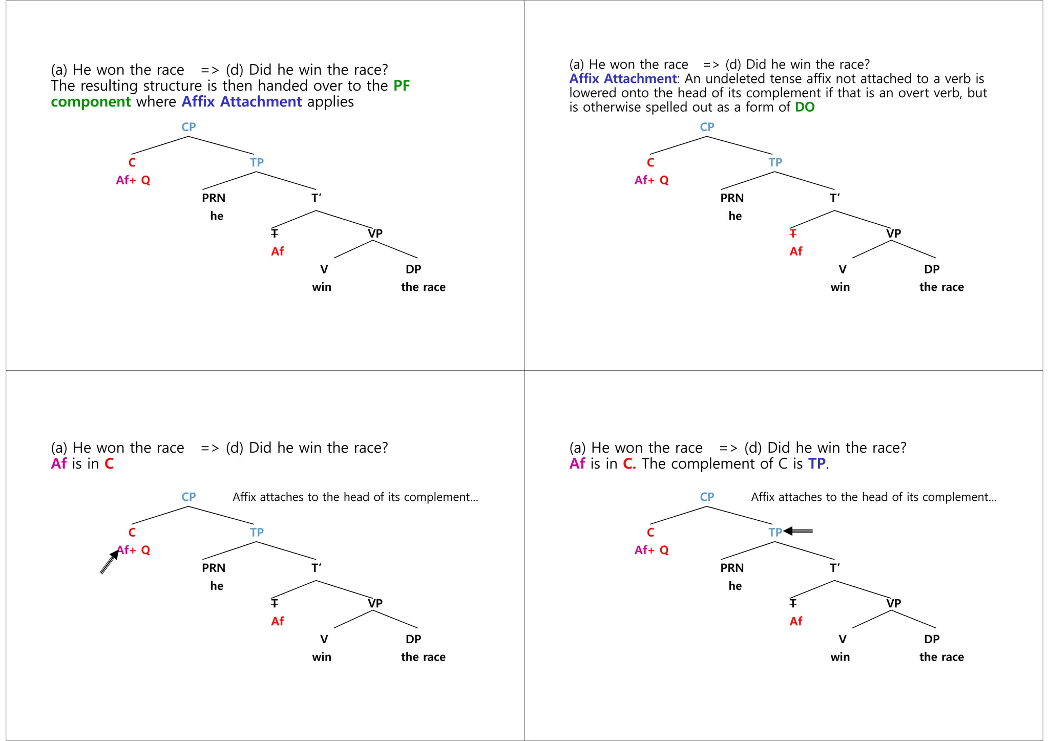 (a) He won the race => (d) Did he win the race?
The resulting structure is then handed over to the PF
component where Affix Attachment applies
CP
C TP
Af+ Q
PRN T’
he
T VP
Af
V DP
win the race
(a) He won the race => (d) Did he win the race?
Affix Attachment: An undeleted tense affix not attached to a verb is
lowered onto the head of its complement if that is an overt verb, but
is otherwise spelled out as a form of DO
CP
C TP
Af+ Q
PRN T’
he
T VP
Af
V DP
win the race
(a) He won the race => (d) Did he win the race?
Af is in C
CP Affix attaches to the head of its complement…
C TP
Af+ Q
PRN T’
he
T VP
Af
V DP
win the race
(a) He won the race => (d) Did he win the race?
Af is in C. The complement of C is TP.
CP Affix attaches to the head of its complement…
C TP
Af+ Q
PRN T’
he
T VP
Af
V DP
win the race
 