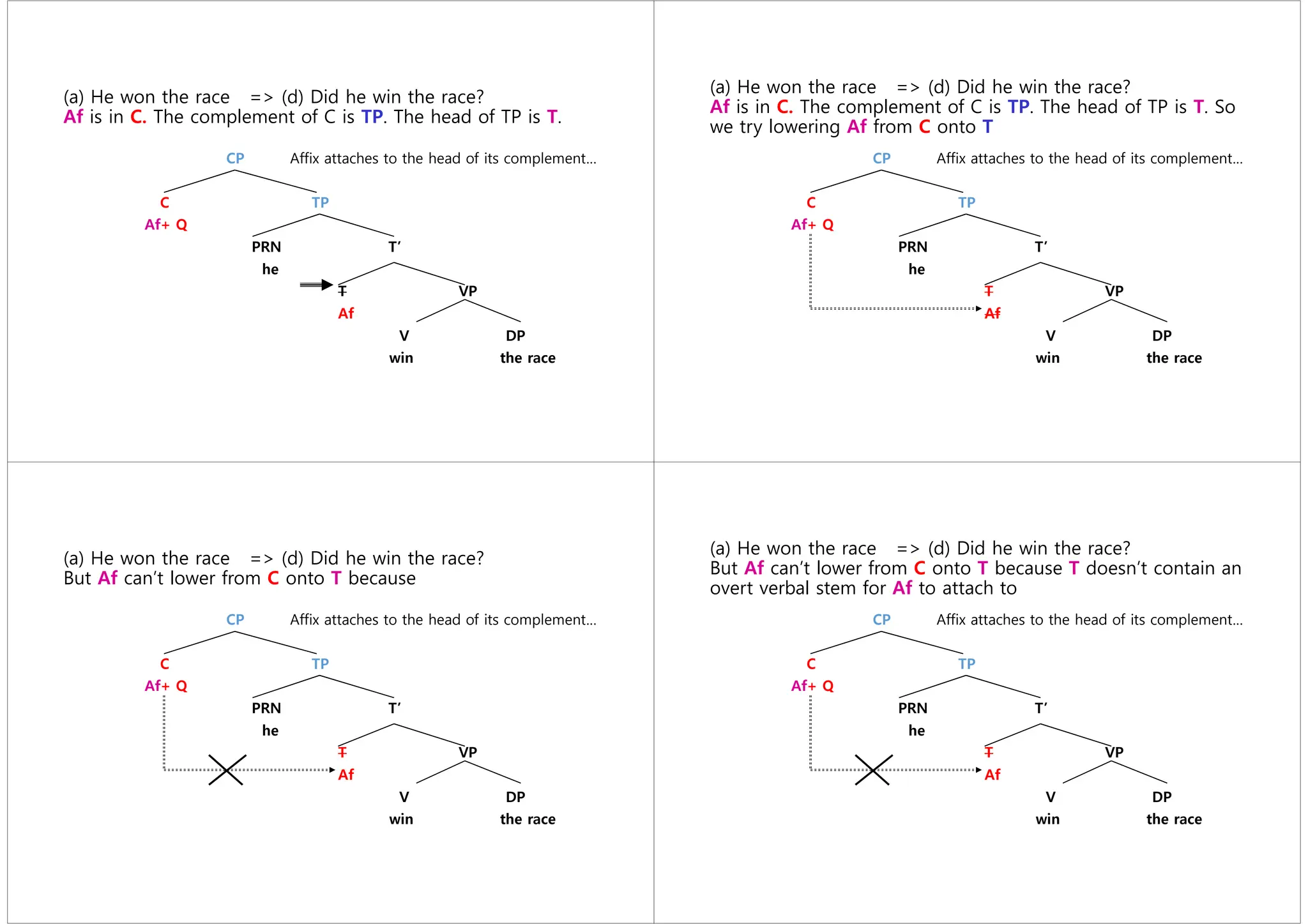 (a) He won the race => (d) Did he win the race?
Af is in C. The complement of C is TP. The head of TP is T.
CP Affix attaches to the head of its complement…
C TP
Af+ Q
PRN T’
he
T VP
Af
V DP
win the race
(a) He won the race => (d) Did he win the race?
Af is in C. The complement of C is TP. The head of TP is T. So
we try lowering Af from C onto T
CP Affix attaches to the head of its complement…
C TP
Af+ Q
PRN T’
he
T VP
Af
V DP
win the race
(a) He won the race => (d) Did he win the race?
But Af can’t lower from C onto T because
CP Affix attaches to the head of its complement…
C TP
Af+ Q
PRN T’
he
T VP
Af
V DP
win the race
(a) He won the race => (d) Did he win the race?
But Af can’t lower from C onto T because T doesn’t contain an
overt verbal stem for Af to attach to
CP Affix attaches to the head of its complement…
C TP
Af+ Q
PRN T’
he
T VP
Af
V DP
win the race
 