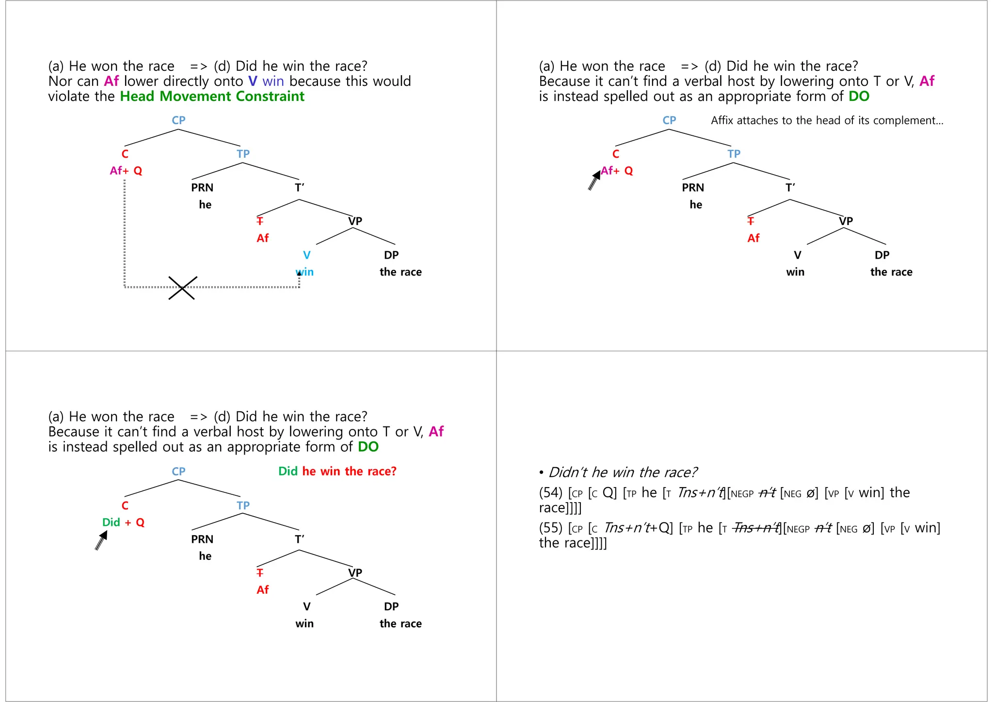 (a) He won the race => (d) Did he win the race?
Nor can Af lower directly onto V win because this would
violate the Head Movement Constraint
CP
C TP
Af+ Q
PRN T’
he
T VP
Af
V DP
win the race
(a) He won the race => (d) Did he win the race?
Because it can’t find a verbal host by lowering onto T or V, Af
is instead spelled out as an appropriate form of DO
CP Affix attaches to the head of its complement…
C TP
Af+ Q
PRN T’
he
T VP
Af
V DP
win the race
(a) He won the race => (d) Did he win the race?
Because it can’t find a verbal host by lowering onto T or V, Af
is instead spelled out as an appropriate form of DO
CP Did he win the race?
C TP
Did + Q
PRN T’
he
T VP
Af
V DP
win the race
• Didn’t he win the race?
(54) [CP [C Q] [TP he [T Tns+n’t][NEGP n’t [NEG ø] [VP [V win] the
race]]]]
(55) [CP [C Tns+n’t+Q] [TP he [T Tns+n’t][NEGP n’t [NEG ø] [VP [V win]
the race]]]]
 